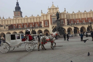 Uncover Historic Krakow: An In-App Audio Tour Adventure