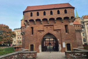 Uncover Historic Krakow: An In-App Audio Tour Adventure