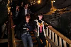 Liste de l'UNESCO ; visite d'une demi-journée de la mine de sel de Wieliczka depuis Cracovie