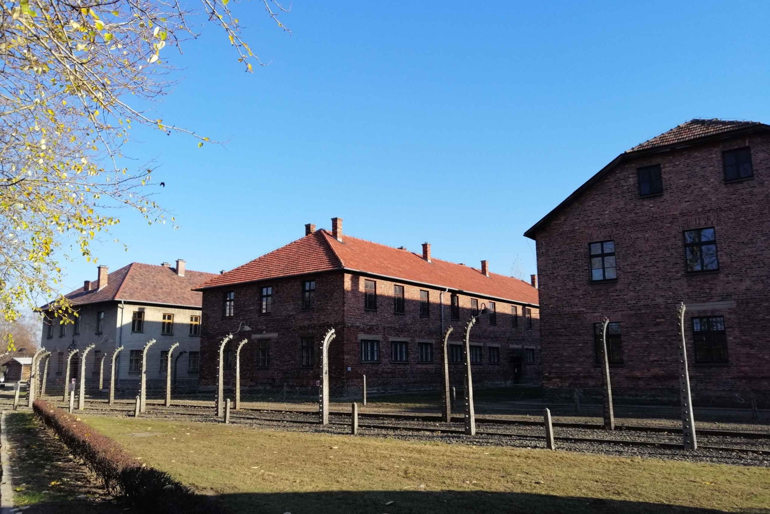 Warszawa: Auschwitz-Birkenau och Kraków – bilresa