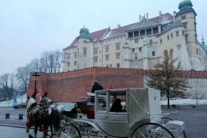 Warszawa: Auschwitz-Birkenau och Kraków – bilresa