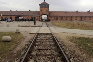 Warszawa: Auschwitz-Birkenau och Kraków – bilresa