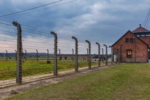 Varsavia, Auschwitz e il centro storico di Cracovia: un'escursione di un giorno intero in auto