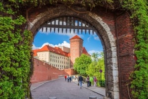 Varsavia, Auschwitz e il centro storico di Cracovia: un'escursione di un giorno intero in auto