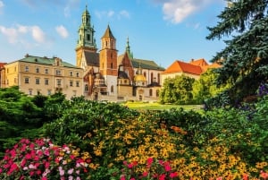 Krakow: Wawel Hill Audioguide Tour