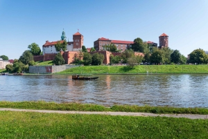 Wawel Kasteel, Kathedraal en St. Mary's Basiliek Privé Tour