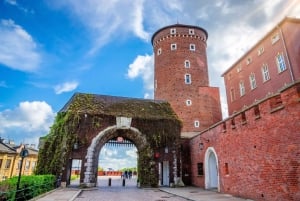 Château et cathédrale de Wawel : visite en petit groupe sans file d'attente