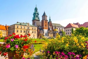 Château et cathédrale de Wawel : visite en petit groupe sans file d'attente