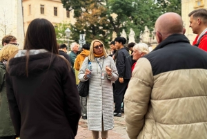 Wawel Castle, Old Town with St. Mary's Church Guided Tour