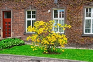 Wawel Castle Treasury & Armoury Spring køen over - privat tur