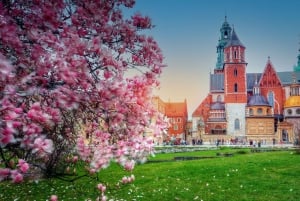 Visite de la colline du Wawel avec audioguide
