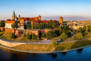 Visite de la colline du Wawel avec audioguide