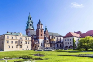 Visite de la colline du Wawel avec audioguide