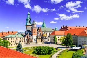  Wawel Royal Hill Guided Tour