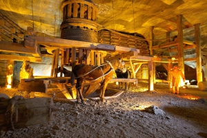 Wieliczka Salt Mine: Guided Tour from Krakow