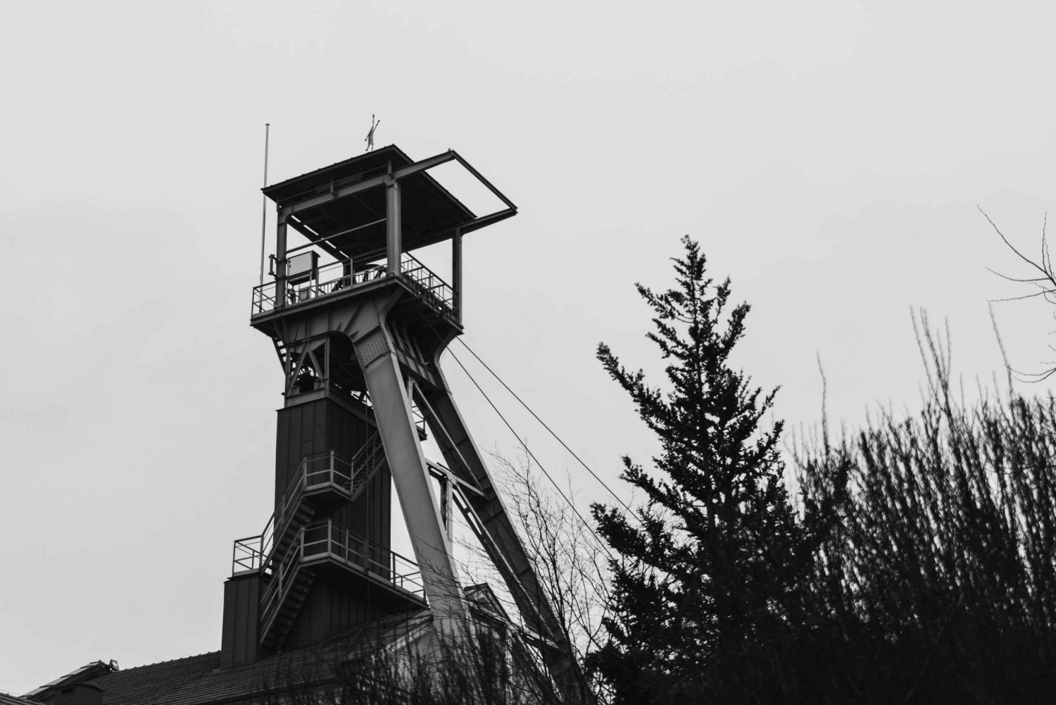 Wieliczka Salt Mine Half-Day Private Tour from Krakow