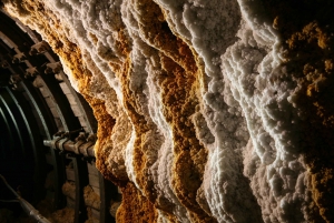 Mine de sel de Wieliczka : Billet direct avec guide