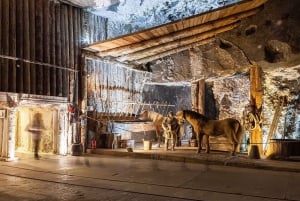 Wieliczka: Wieliczka Salt Mine Skip-the-Line Guided Tour