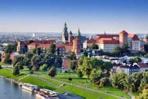 Wroclaw : Excursion d'une journée à Cracovie