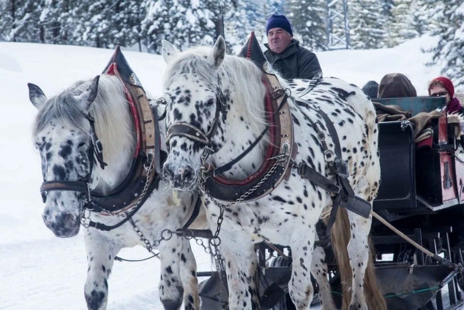 Zakopane and Sleigh Ride with Transfers and Lunch Option