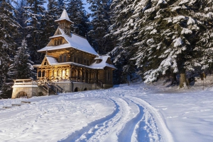 From Krakow: Zakopane and the Tatra Mountains
