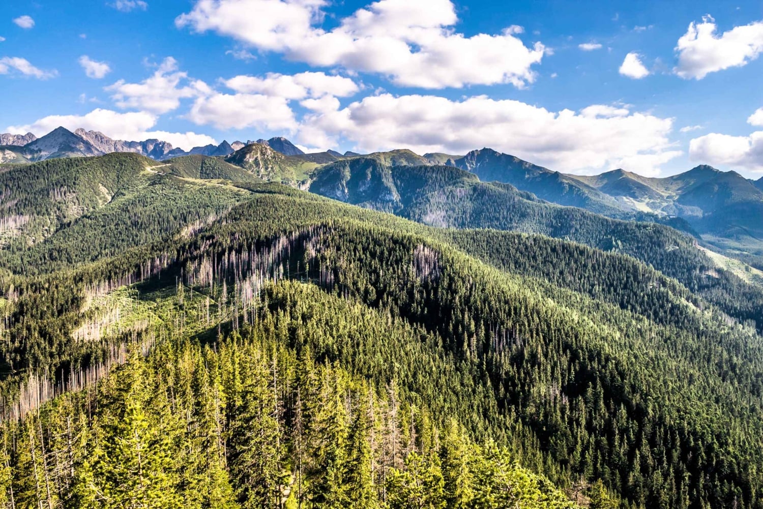 Zakopane i Tatry: Wycieczka całodniowa