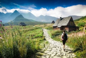 Tour di un giorno a Zakopane e sui monti Tatra