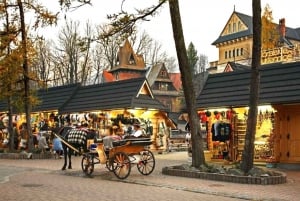 Zakopane and thermal springs - private tour