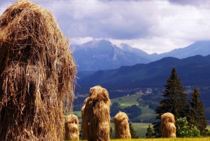 Viagem de um dia a Zakopane saindo de Cracóvia com transporte particular