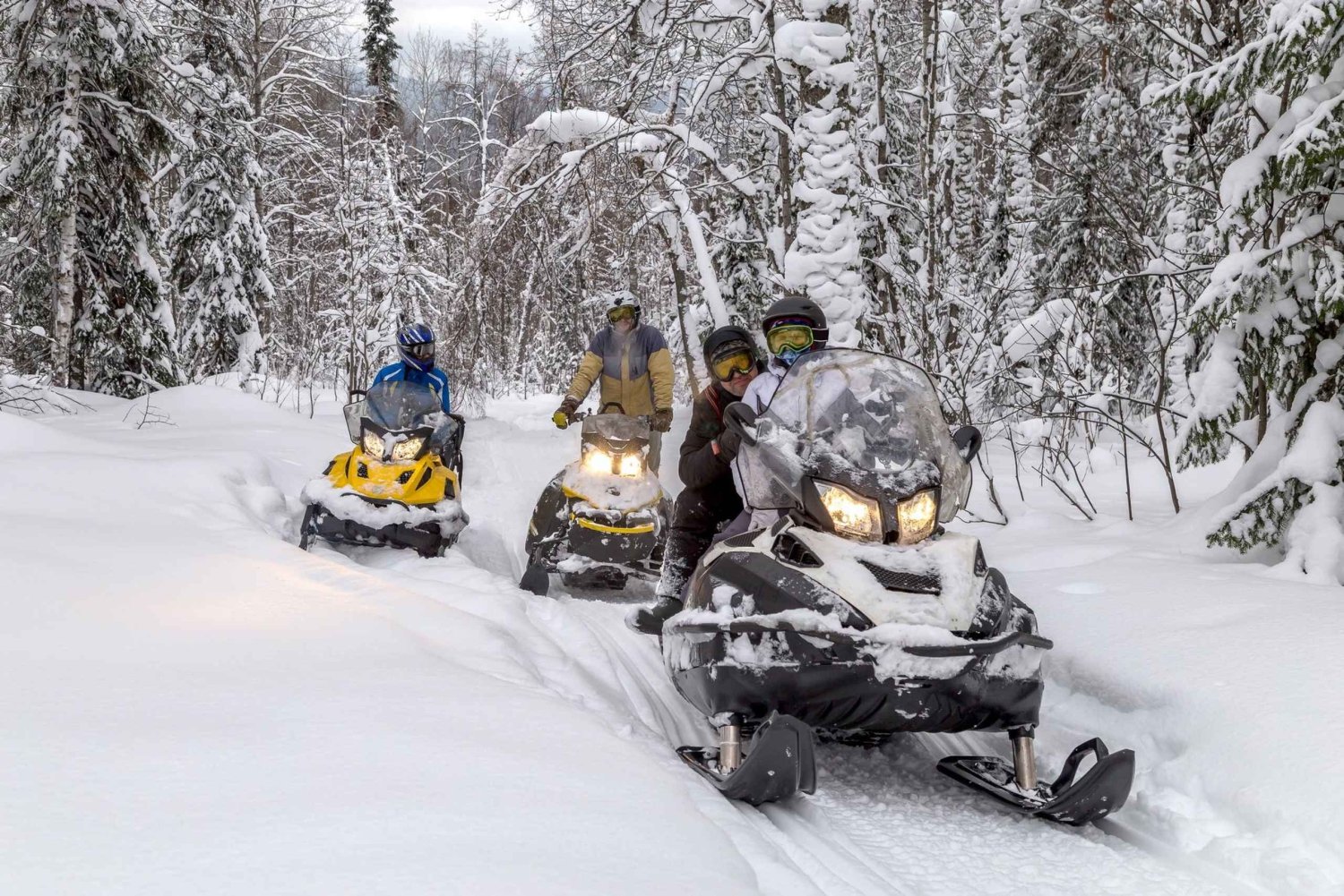 Zakopane: Snowmobiles (or Quads), Thermal Pools & Tasting