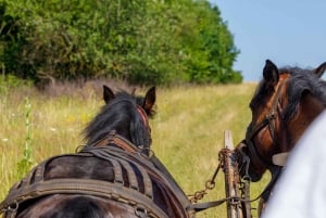 Zakopane: Horse-Drawn Rides with Local Guide & Food Tasting