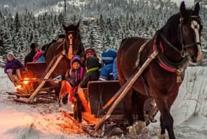 Zakopane: Horse-Drawn Rides with Local Guide & Food Tasting