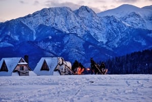 Zakopane: Horse-Drawn Rides with Local Guide & Food Tasting