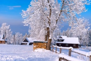 Zakopane: Horse-Drawn Rides with Local Guide & Food Tasting