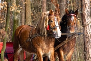 Zakopane: Horse-Drawn Rides with Local Guide & Food Tasting