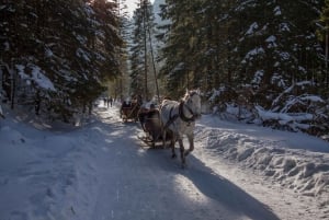 Zakopane: Horse-Drawn Rides with Local Guide & Food Tasting