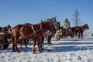 Zakopane: Horse-Drawn Rides with Local Guide & Food Tasting