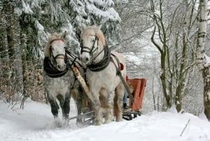 Zakopane: Horse-Drawn Rides with Local Guide & Food Tasting