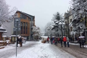 Zakopane: Husky Sleigh Ride and Thermal Baths or Zakopane
