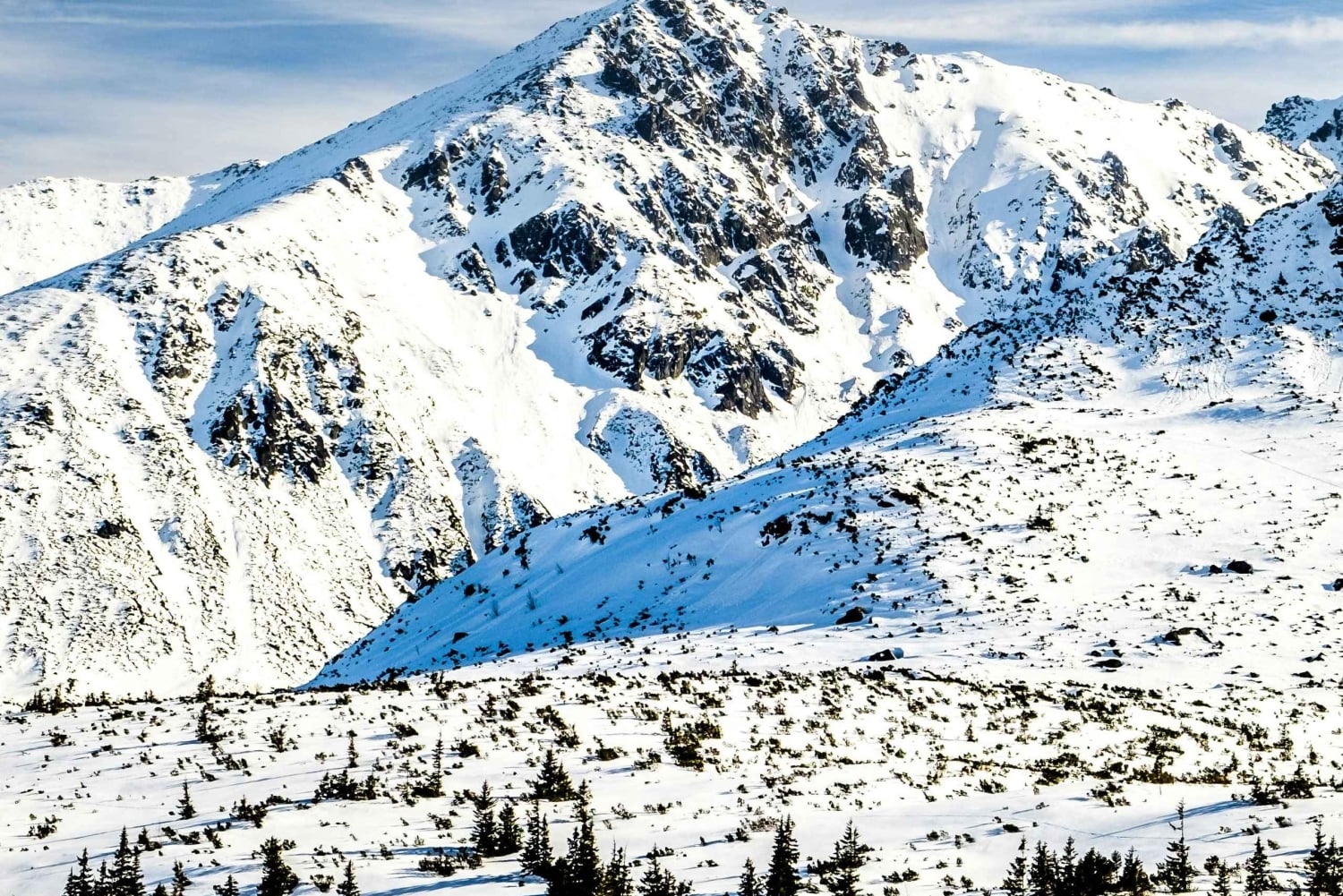 Zakopane: ski- of snowboardavontuur met lunch