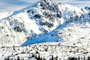 Zakopane: aventura de esquí o snowboard con almuerzo