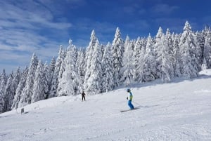Zakopane: aventura de esquí o snowboard con almuerzo