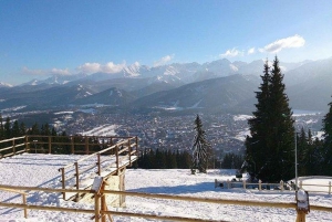 Zakopane: Snow Mobiles in Tatra Mountains