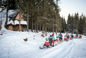 Zakopane: Snowmobile Adventure in Tatra Mountains