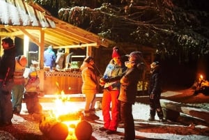 Zakopane: Passeio de moto de neve com fogueira e motorista particular