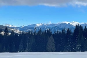 From Krakow: Zakopane Snowmobile Ride, Bonfire, & Transfers