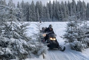 From Krakow: Zakopane Snowmobile Ride, Bonfire, & Transfers