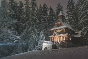 Zakopane & Tatra Mountains Private Full-Day Tour from Krakow