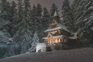 Zakopane & Tatra Mountains Private Full-Day Tour from Krakow