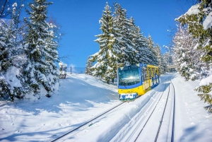 Krakow: Zakopane Tour with Optional Hot Springs
